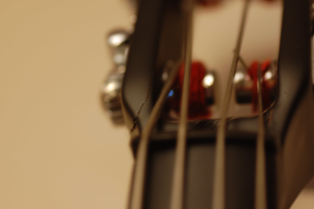 Bass Damage 2 Without flash. This is what happened to my… Flickr