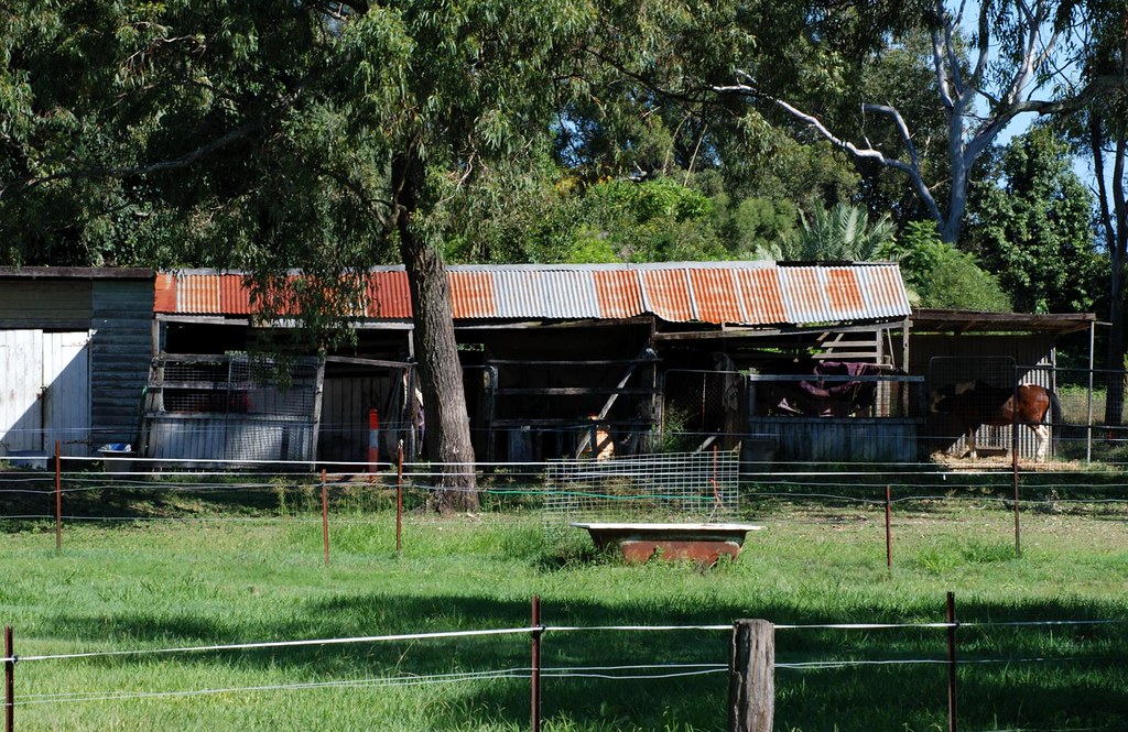 Zillmere farm shed an old farm shed remains standing withi… Flickr