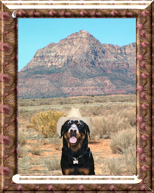 polygamist city Colorado City, AZ Kelly L. Flickr