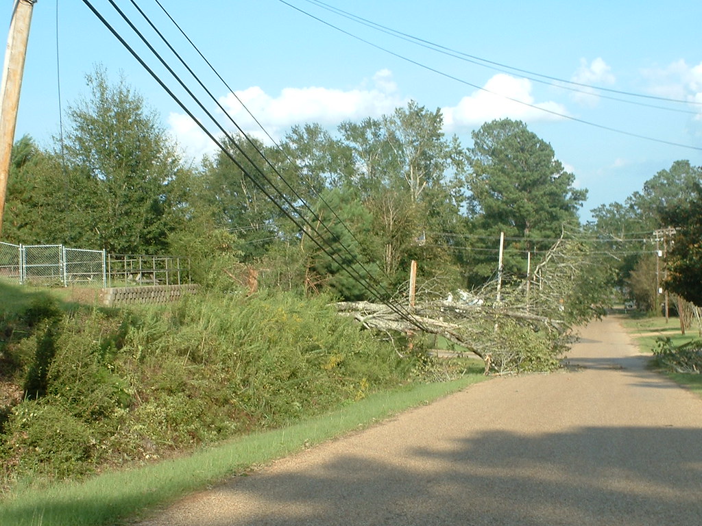 Lines down in front of Bogue Chitto School Bogue Chitto, M… Scott
