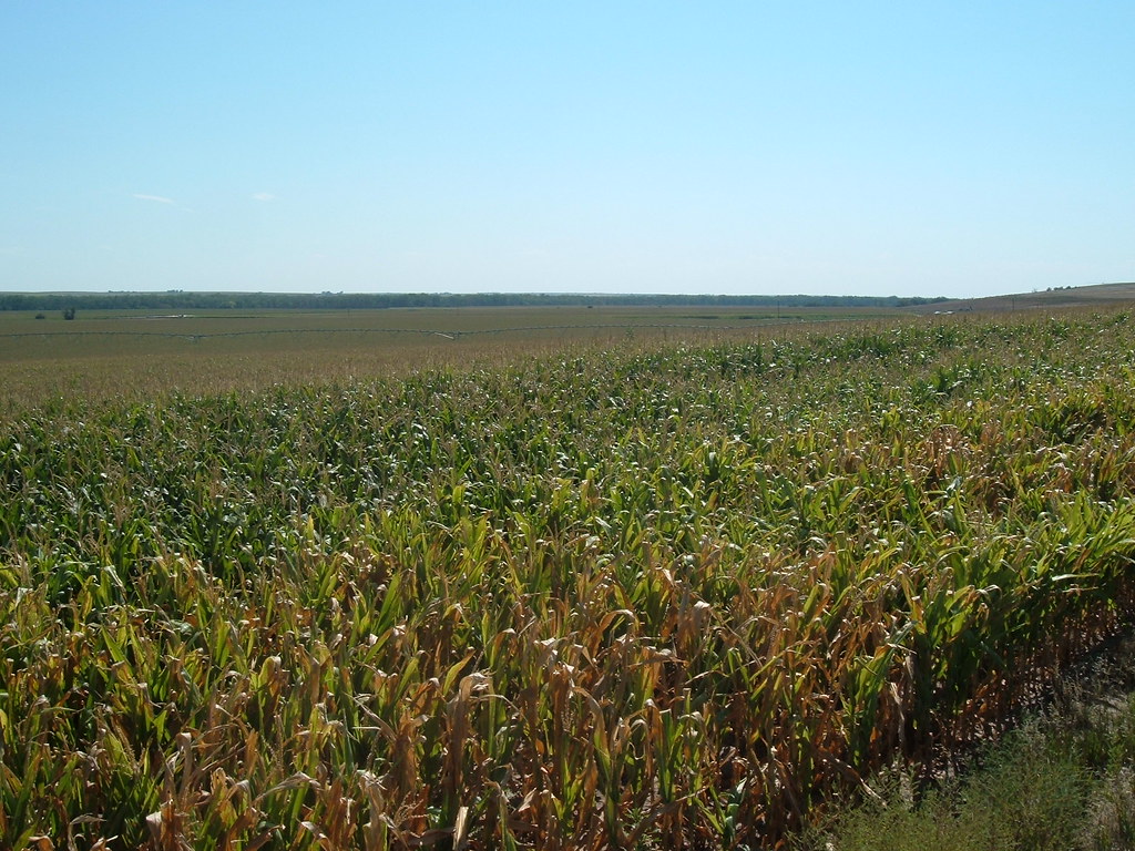 More R.V. Corn Red Willow County, NE Larry Harvey Flickr