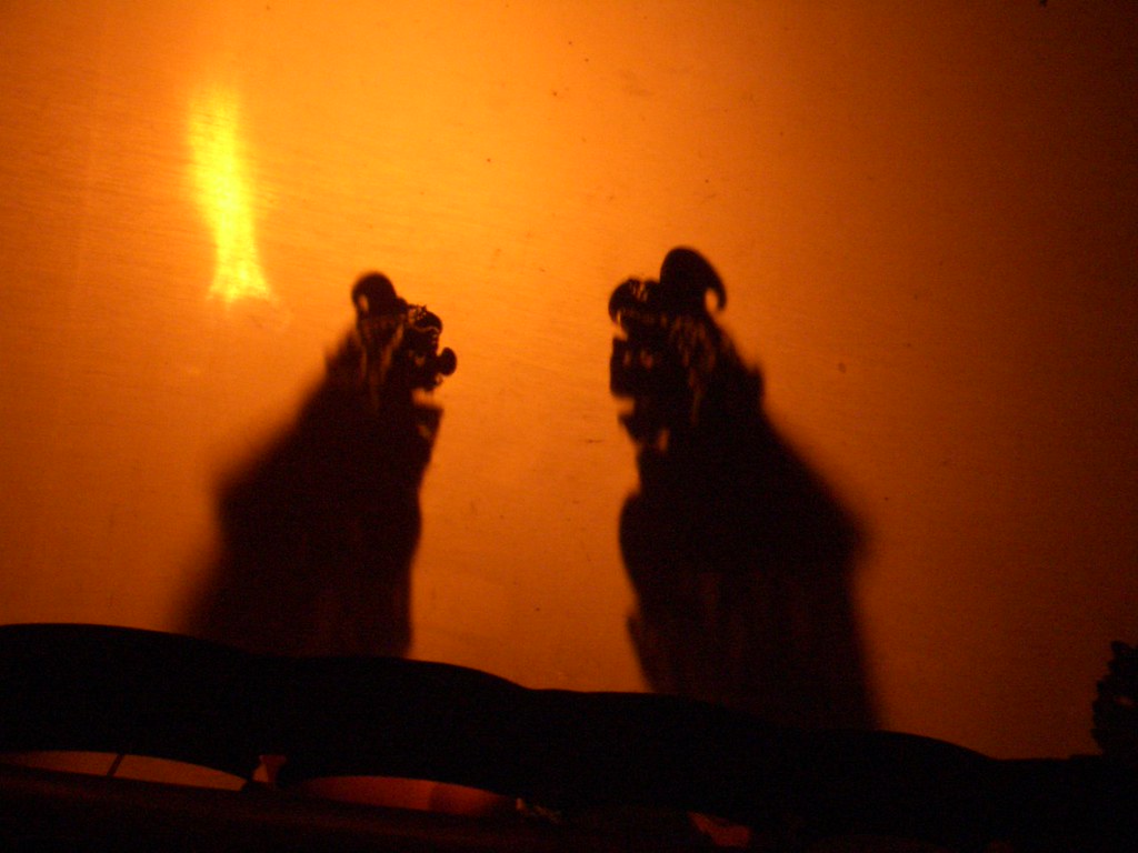 Shadow puppets Todd Lappin Flickr