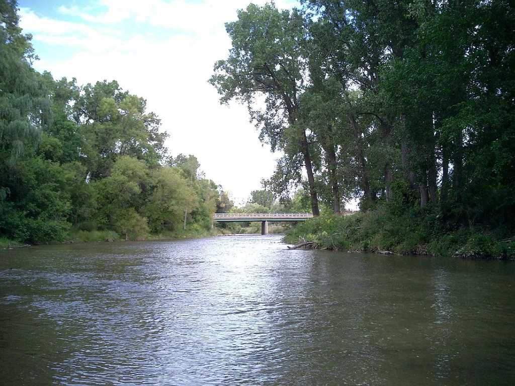 Rifle River (Omer, MI) Naoko Takano Flickr