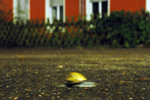 whee! "But he's a racing snail!" The Neverending Story