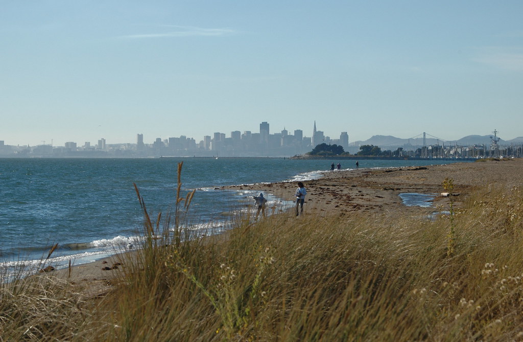 Beach in Alameda. Rich Anderson Flickr