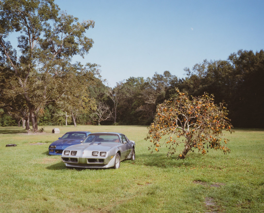 Escatawpa, Mississippi Missy Prince Flickr