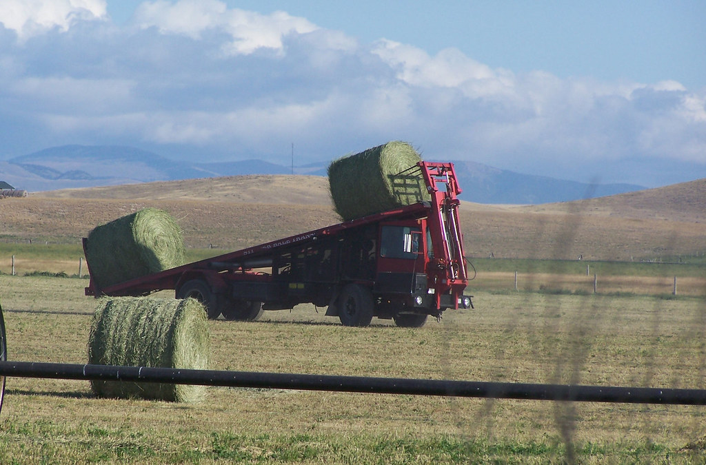 loading hay, Dillon MT Laureen LaBar Flickr