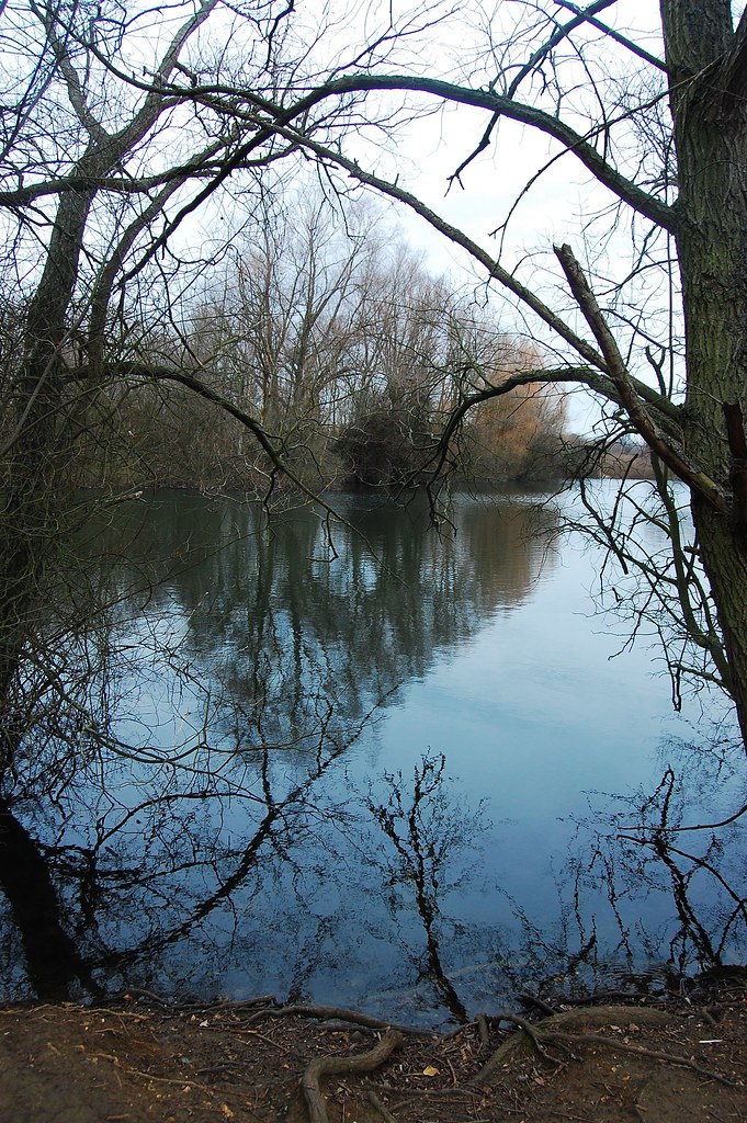 Barnwell Lake One of the lakes at Barnwell County Park out… Flickr