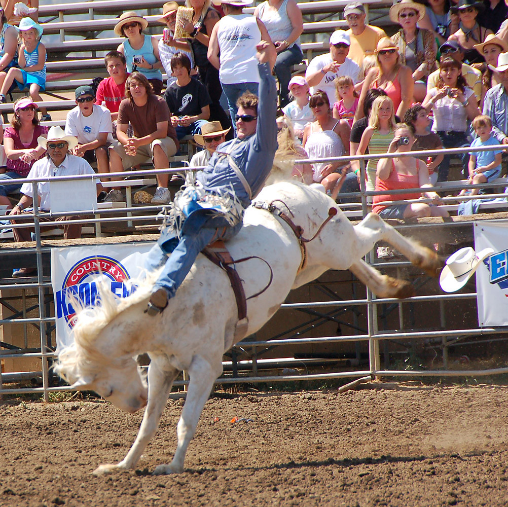 Riding a white horse If you enjoy rodeo images, please che… Flickr