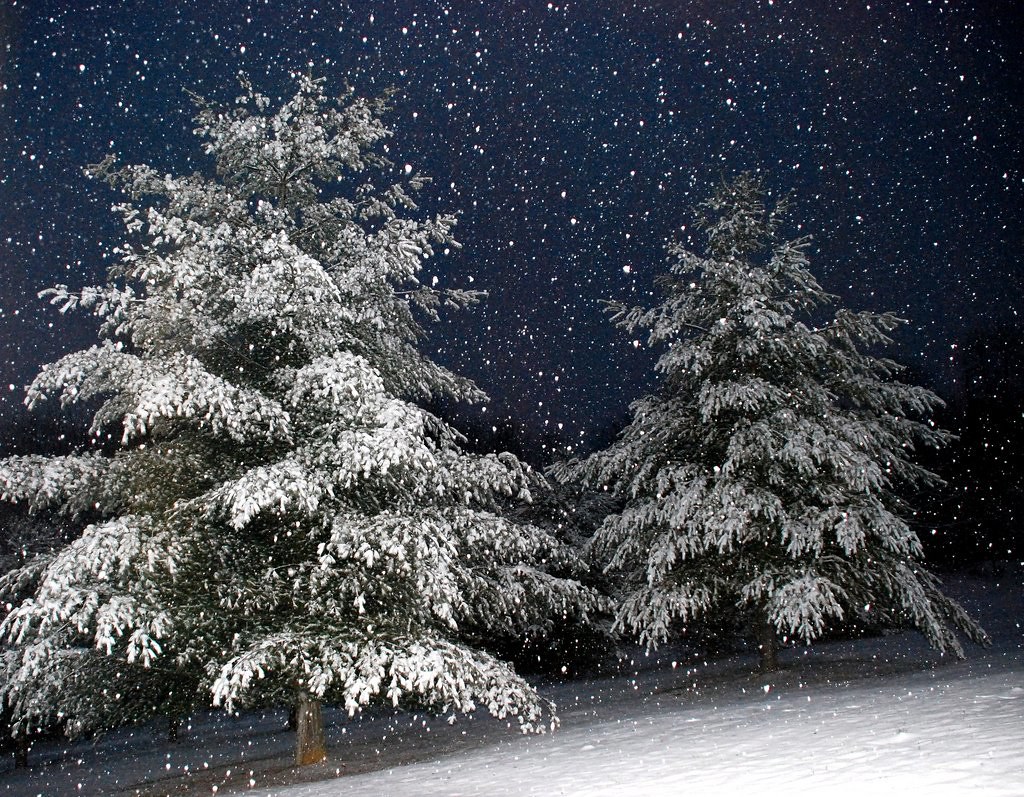 Winter In Southwest Virginia Winter Wonderland in Castlewo… Flickr