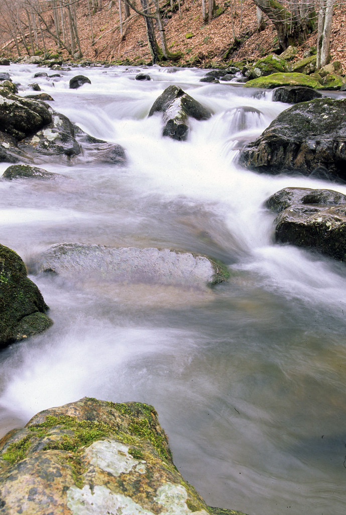 Clinch Mountain WMA Big Tumbling Creek Big Tumbling Cree… Flickr