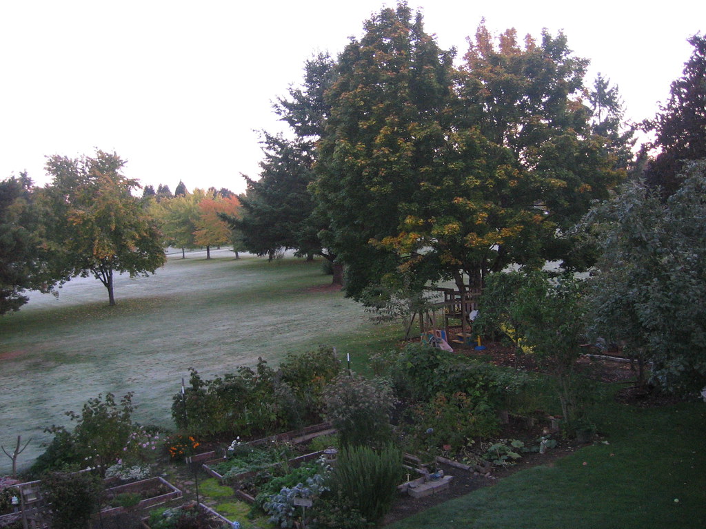 Early morning frost Damascus greenway (from above deck