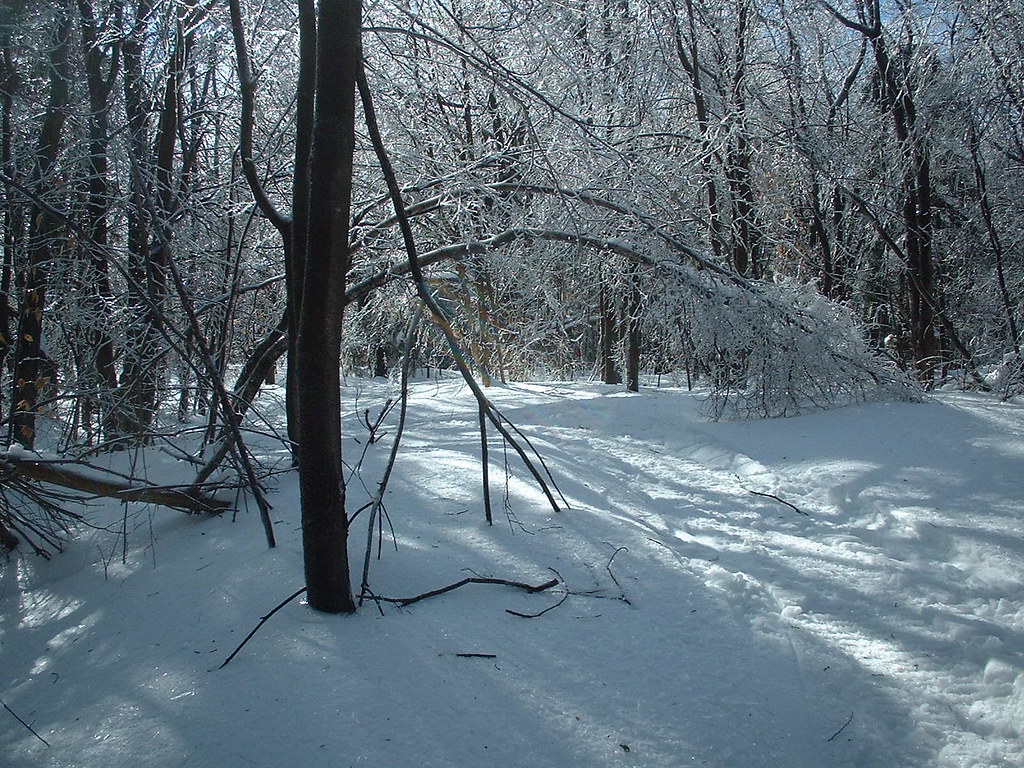 2162008 Savoy, MA snowmobiling 002 denisfm3 Flickr