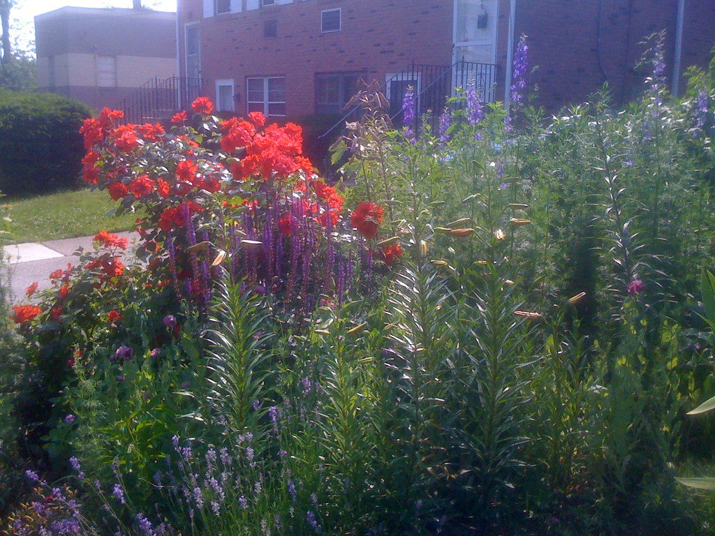 English Garden in Bryn Mawr Frank Roche Flickr