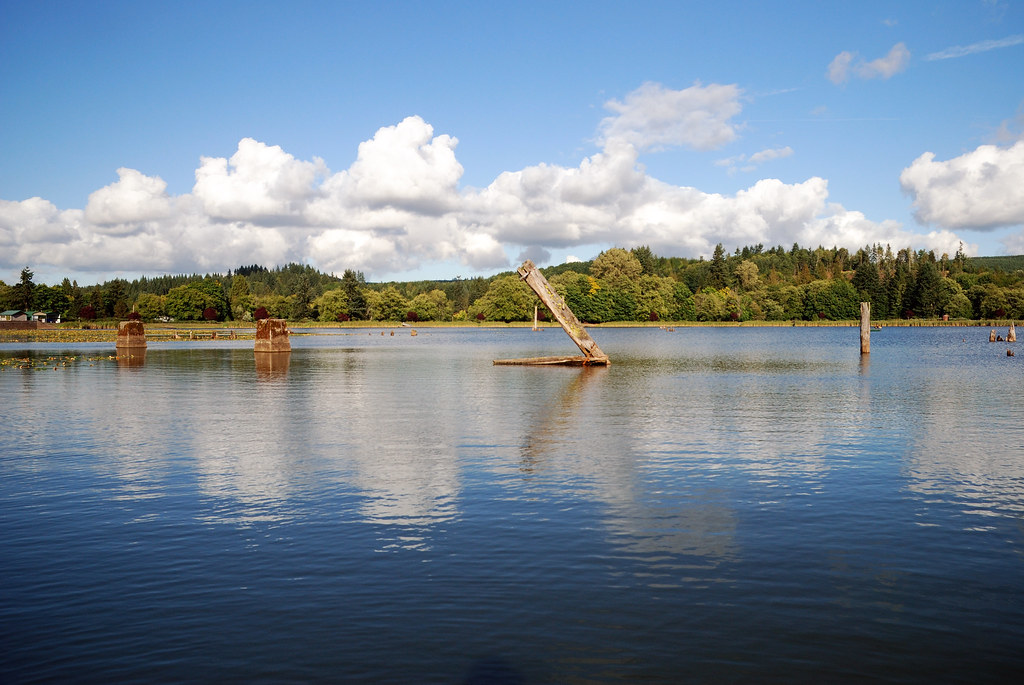 092208 013 Vernonia Mill Pond Vernonia Oregon Chris Updegrave
