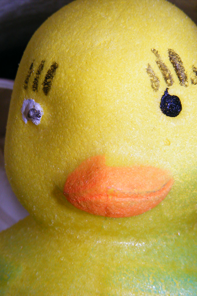Duck egg growing pet stuck in a jar Duck egg growing pet s… Flickr