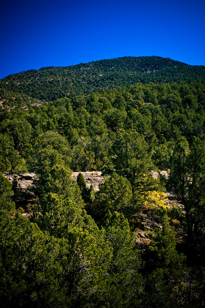 Dixie National Forest In Dixie National Forest, near Cedar… Flickr