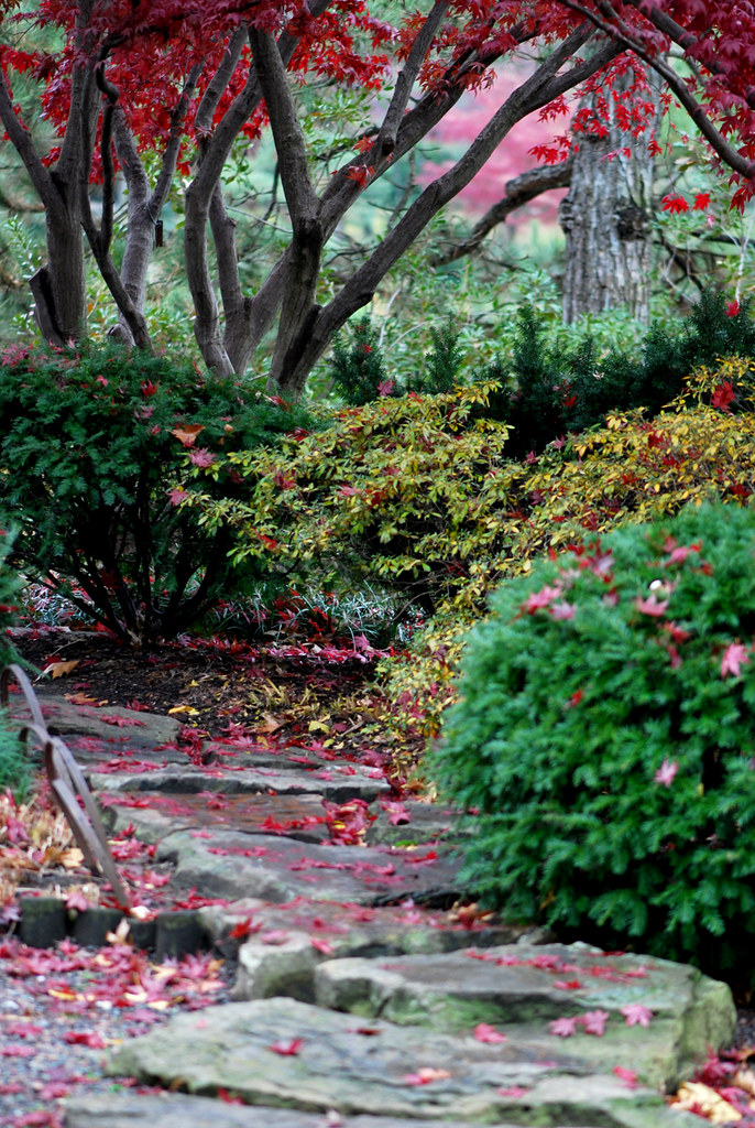 LN_3 Japanese Gardens at the St. Louis Botanical Gardens. … Flickr