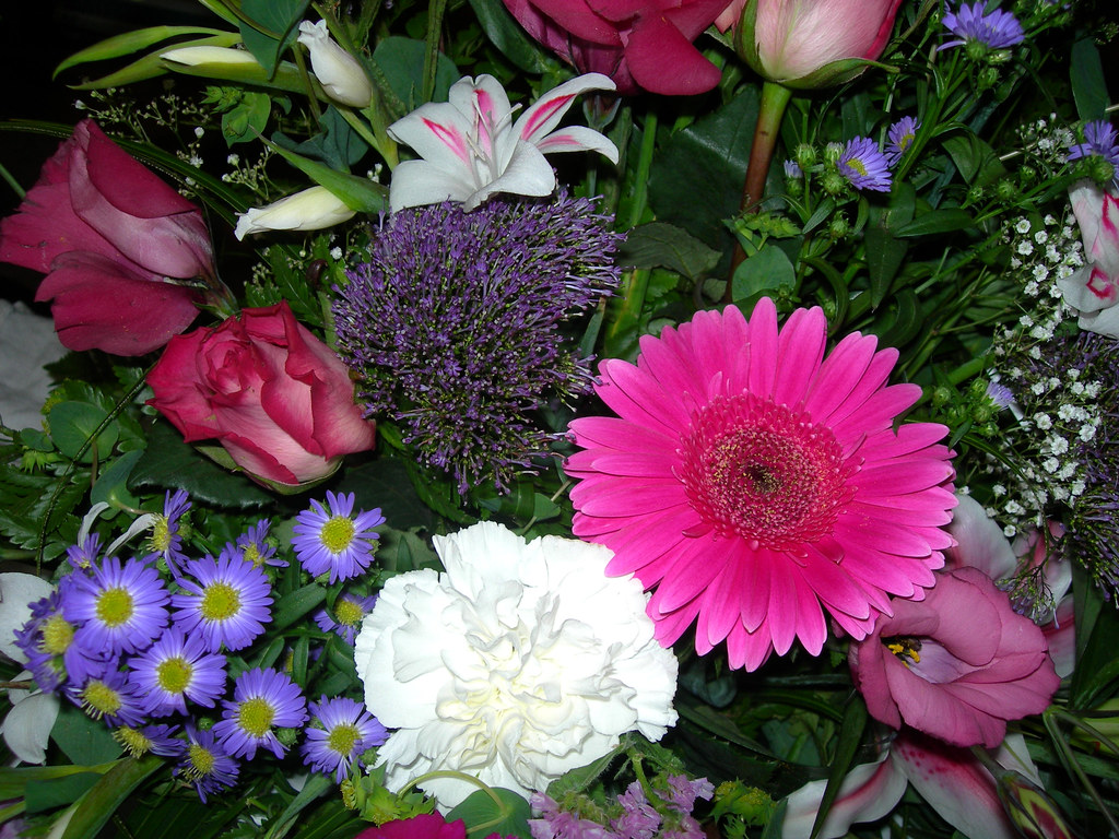 Nick's Flowers 2 I found a camera which I handed in to the… Flickr