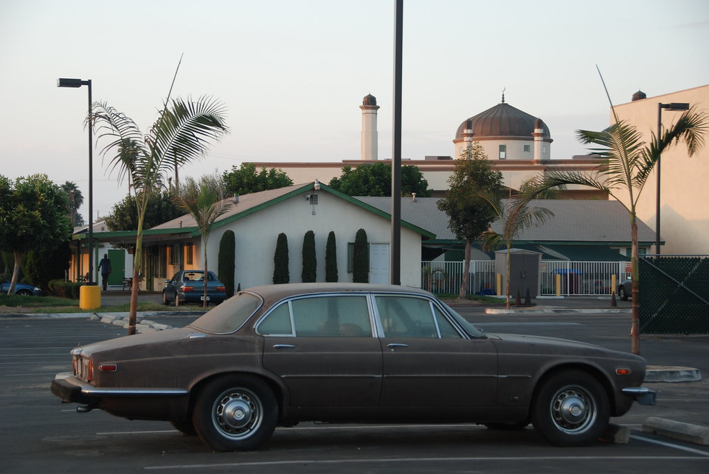 Jaguar at the Garden Grove Masjid Rafay Seyal Flickr