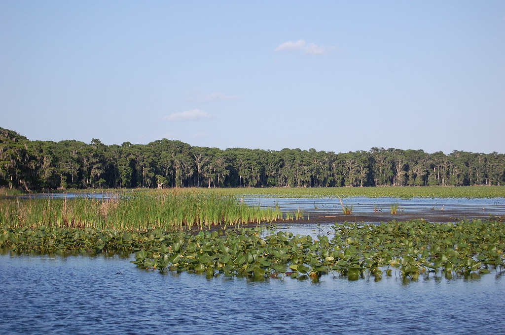 Lake Arbuckle Photography MC Flickr
