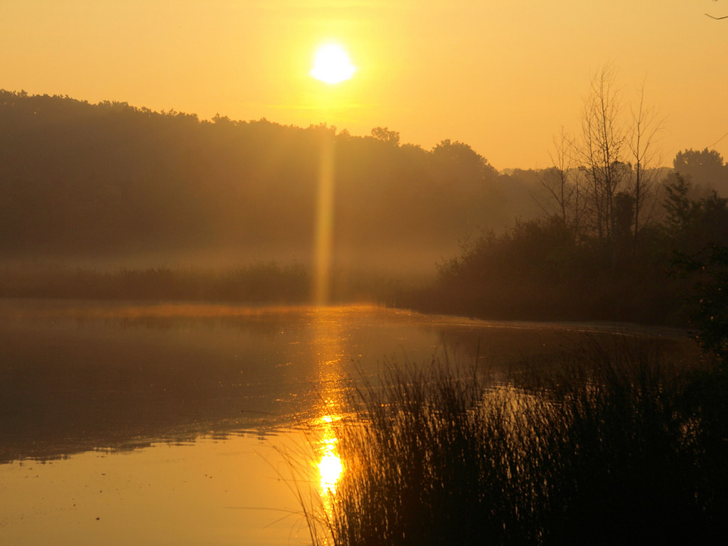 Golden Sunrise Lamberton Lake. Grand Rapids, Michigan. Tom Syrba