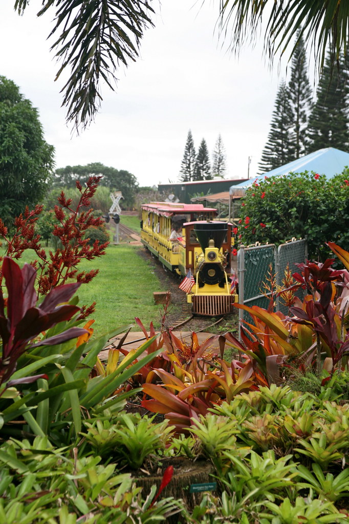 Pineapple Express Train Tour The Pineapple Express train t… Flickr