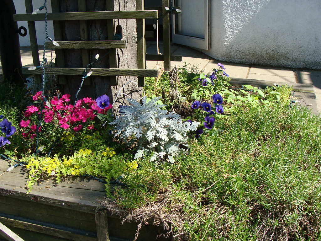 House of The Raven Downtown Gloucester GoodMorningGloucest… Flickr