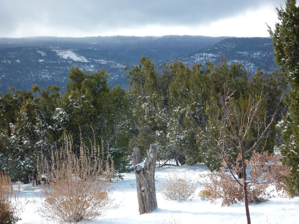 New Mexico December Sandia Mtns December 2009 Sandia Mtn… Flickr