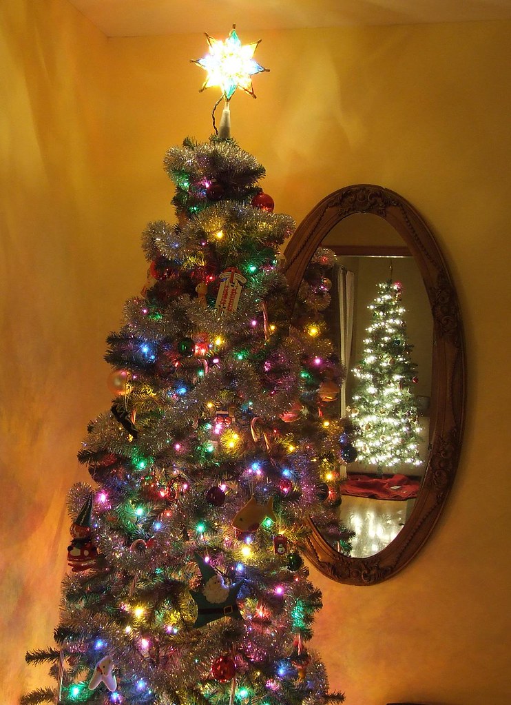 two christmas trees rick020200 Flickr