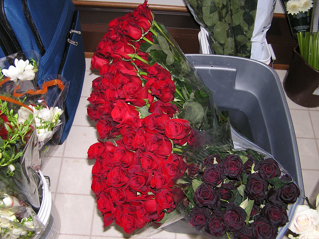 Flower Order Vancouver at Byron Haney blog