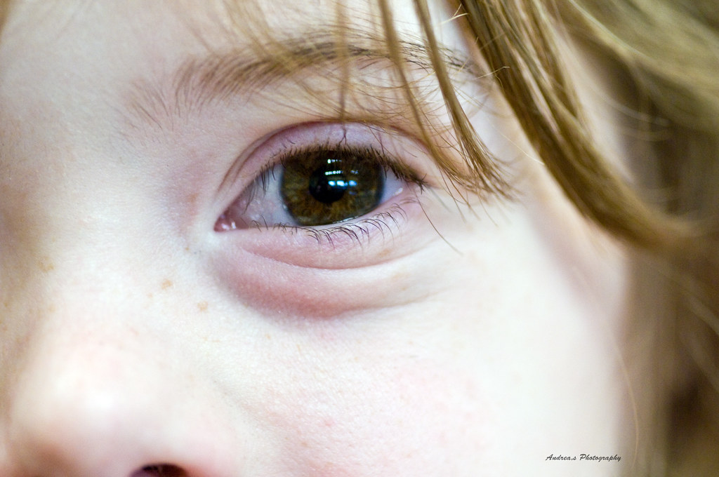 Eye Eye Tilly Just a close up of Tilly eyeing up the choco… Flickr
