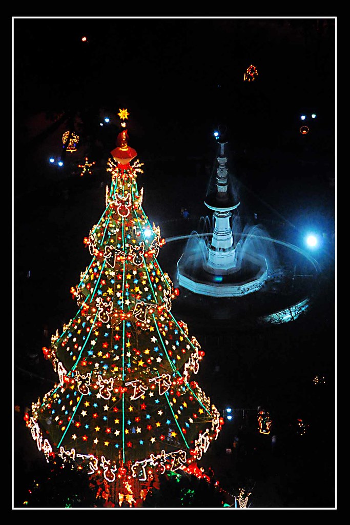 Christmas tree clyde_cullen Flickr