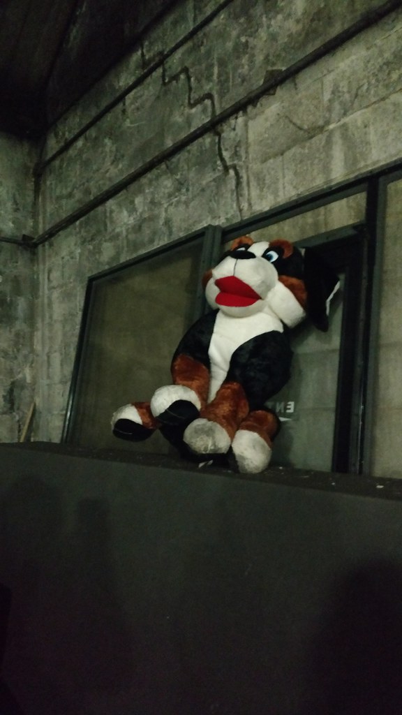 doggie of the garage The Parkstone. Detroit, Michigan. kiminnyc