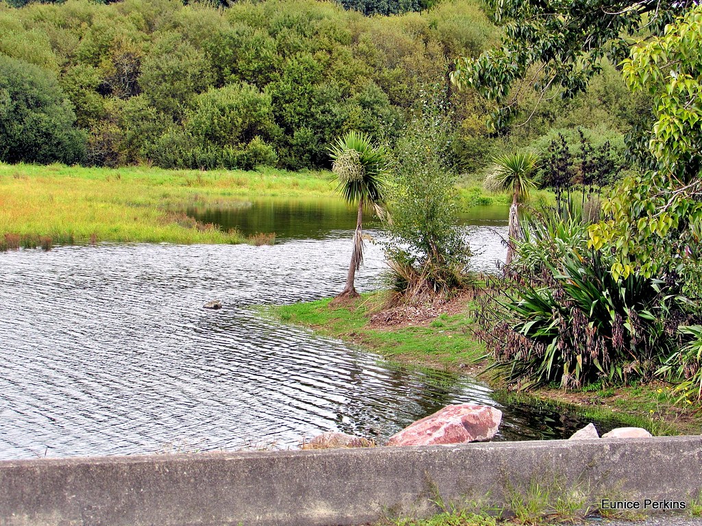Lake View. Lake Whakamaru Eunice Perkins Flickr