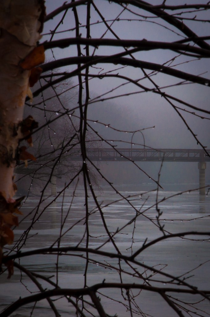 Lundby Bridge 2, Pinicon Ridge County Park pogo__ Flickr