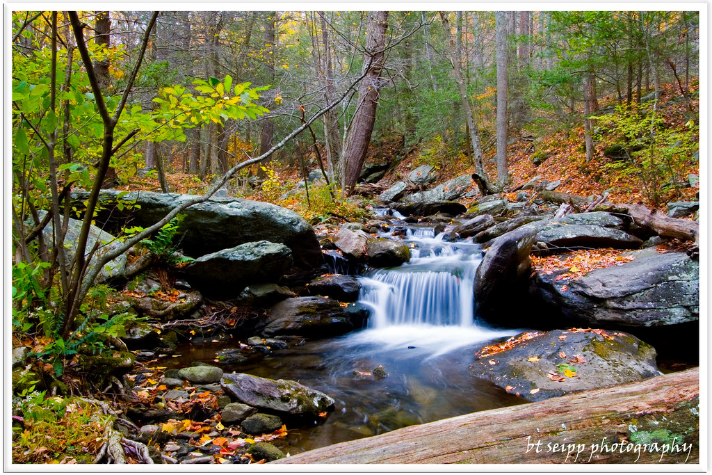 Tuscarora Creek in Fall adkforester Flickr