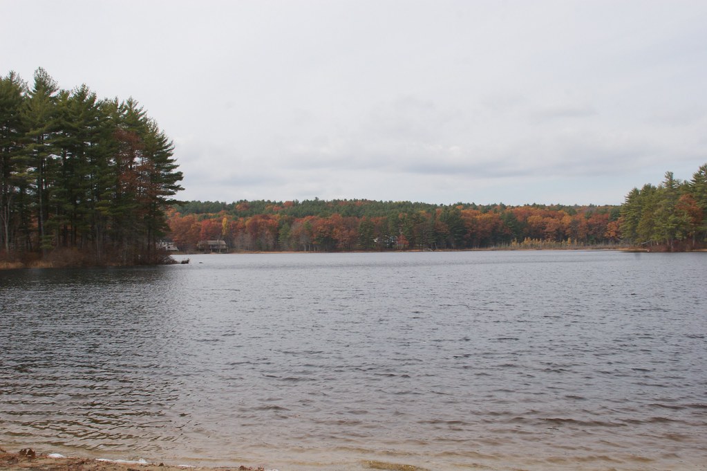 Flickriver Photoset 'Robinson Pond' by StarrGazr