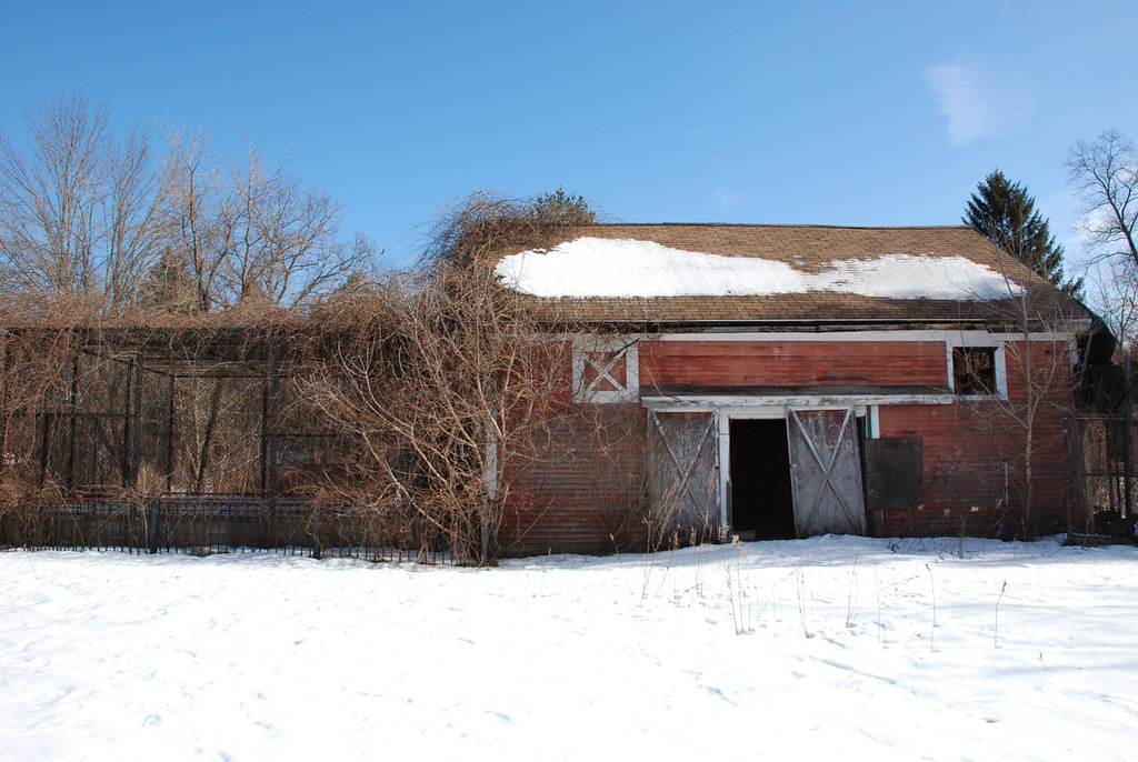 Benson's Wild Animal Farm Hudson NH Patti Gravel Flickr