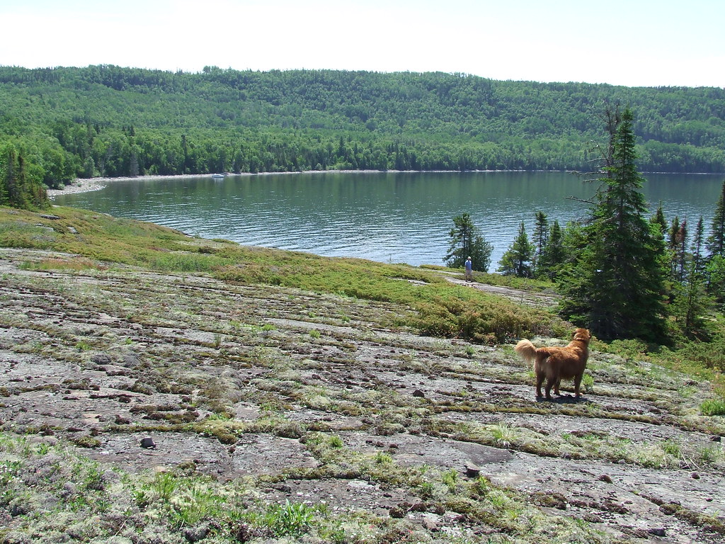 overlooking Clavet Bay Mike Flickr
