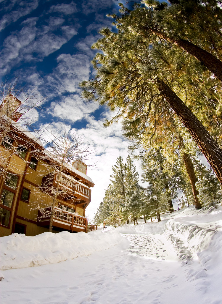 Big Bear noahrsd Flickr