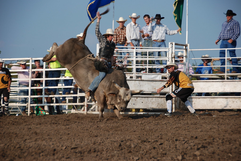 Rodeo 4 Jesse James Festival 2008 Kile in KC Flickr