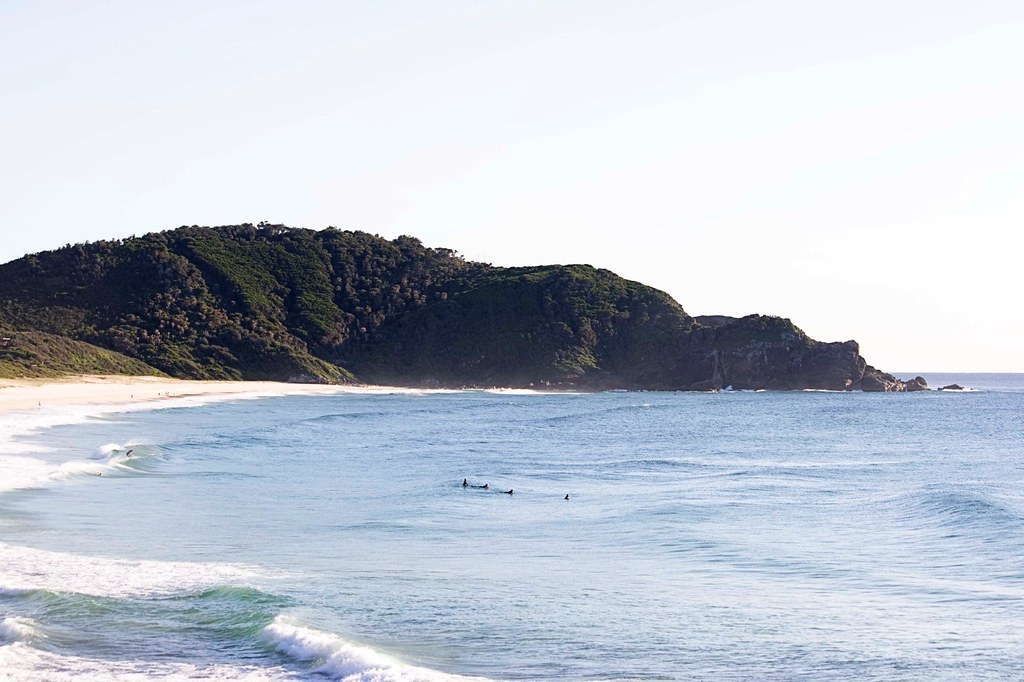 Lazy Dog Boomerang Beach stylastles Flickr