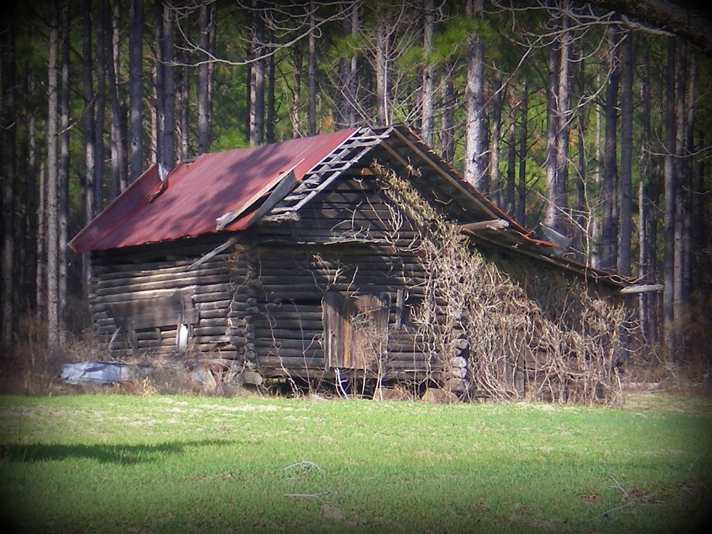 Log Barn Abbeville Highway, Dodge County GA Brian Brown Photography/Vanishing Media Flickr