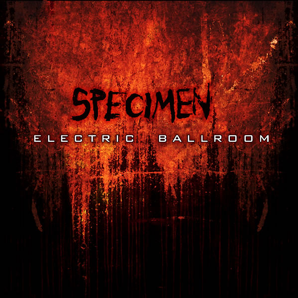 Specimen album cover (unused) Specimen album cover that wa… Flickr