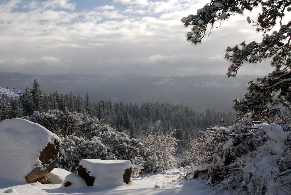 Strawberry in Winter Strawberry, CA Jennifer Murphy Flickr
