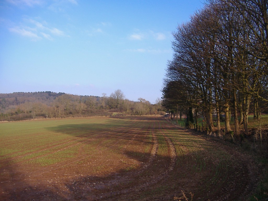 DSCF7057 A field in Flax Bourton, North Somerset. Matt Buck Flickr