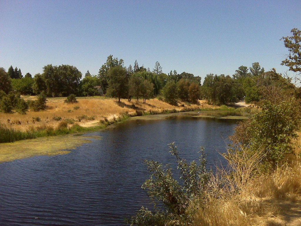 Laguna Creek A view of Laguna Creek, in Elk Grove. jvcalbear Flickr