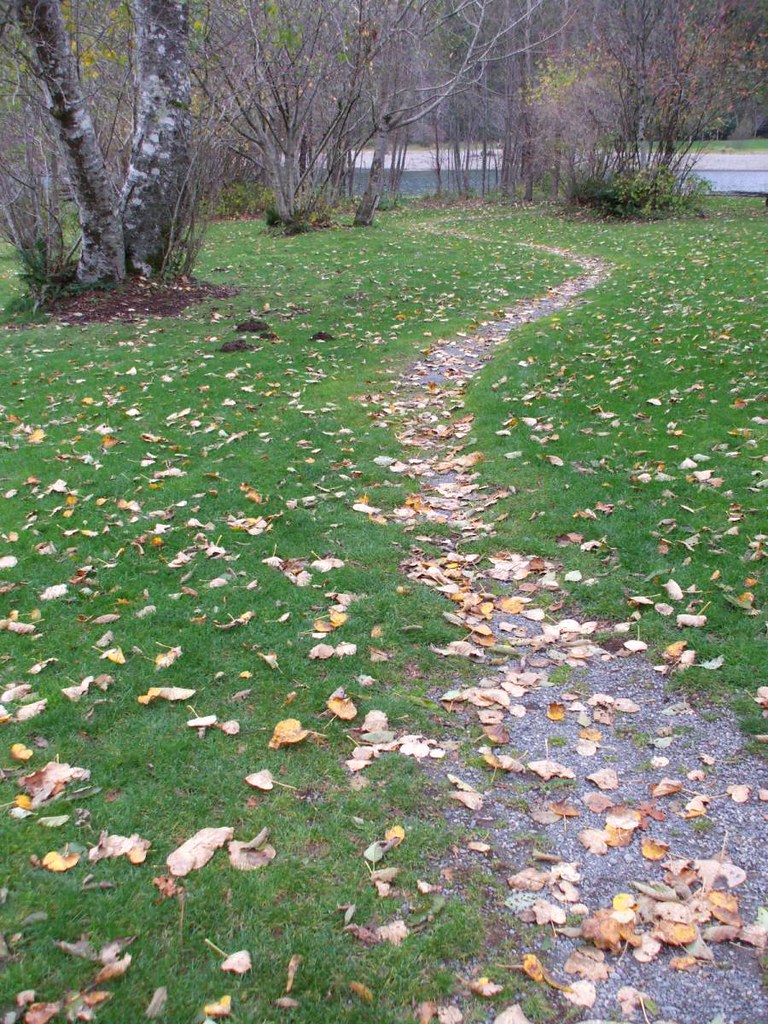 Picnic area, Rattlesnake Lake Picnic area, Rattlesnake Lak… Flickr