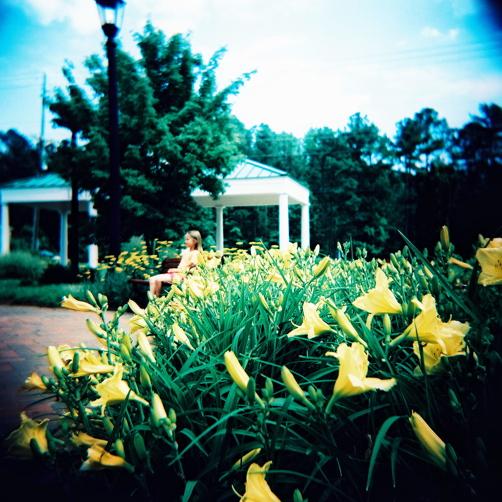 roswell garden 4 Christian DuChateau Flickr